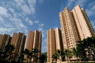 淺析廈門市住房租賃市場的發(fā)展趨勢